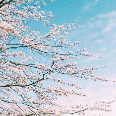 杏盛平台（官方）综合娱乐APP下载